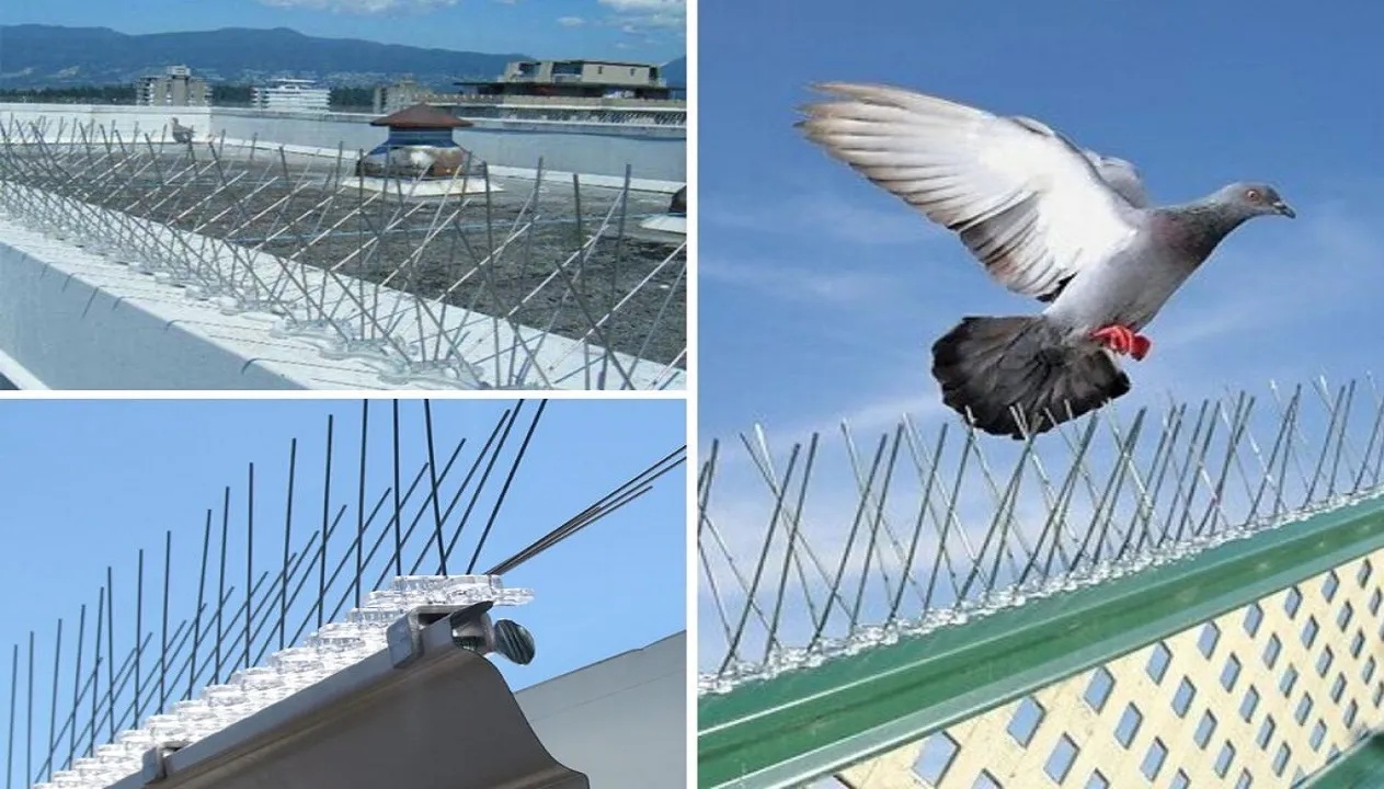 Bird Spike Service In Pune